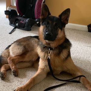 Meet your Posher, Ricky